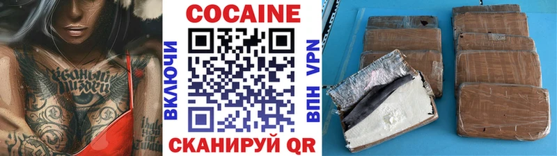 Кокаин Fish Scale  MEGA вход  Лесозаводск 
