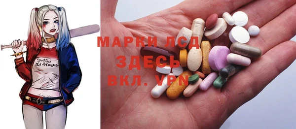 прущие грибы Балабаново