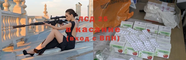 прущие грибы Балабаново