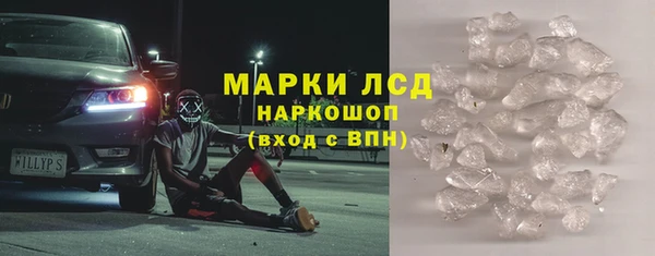 прущие грибы Балабаново