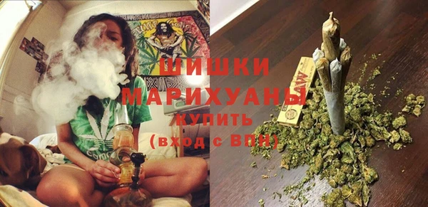 прущие грибы Балабаново