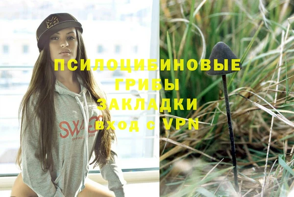 прущие грибы Балабаново