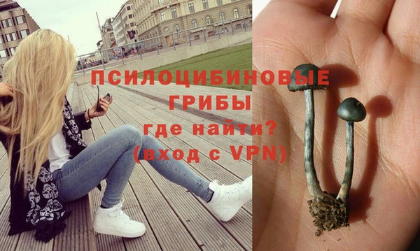 стафф Балахна